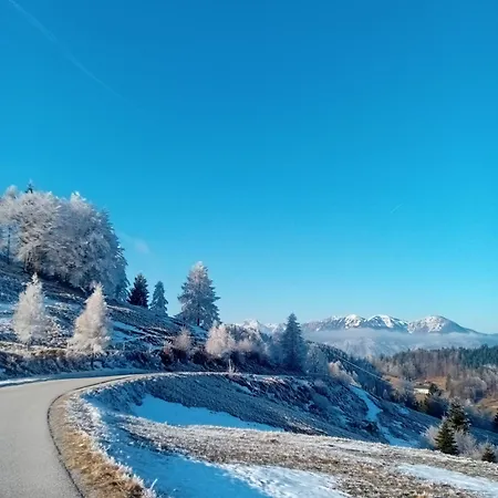 Cumar Apartmán *