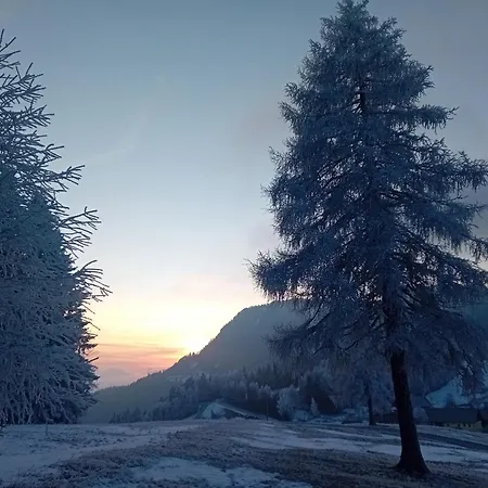 Cumar Διαμέρισμα