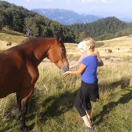 Apartment Cumar Cerkno