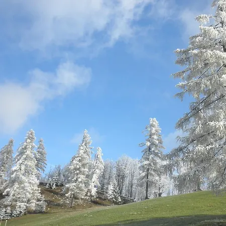 Apartment Cumar Cerkno