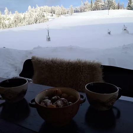 Cumar Apartment Cerkno