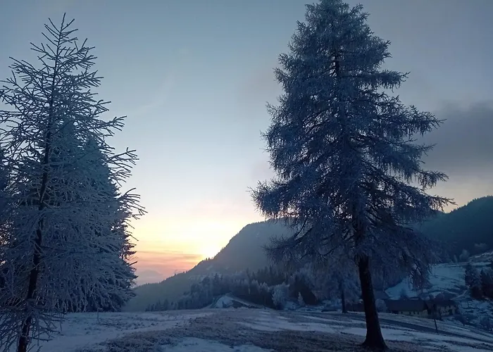 Cumar Διαμέρισμα