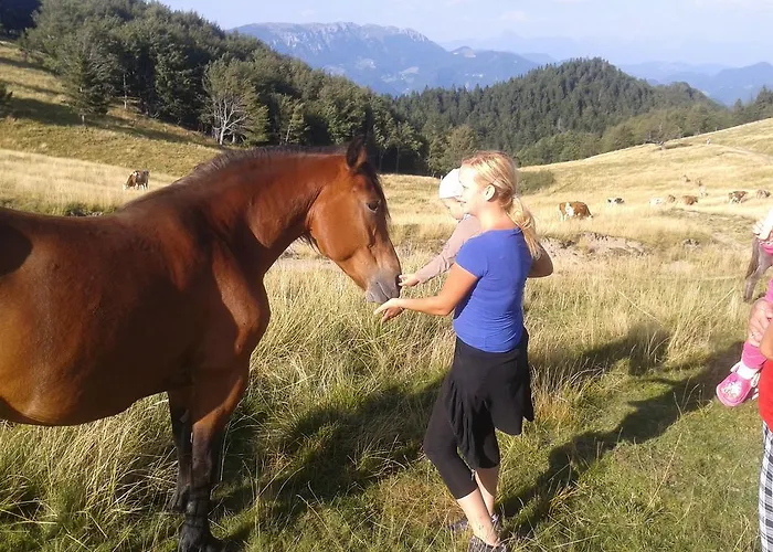Appartement Cumar Cerkno